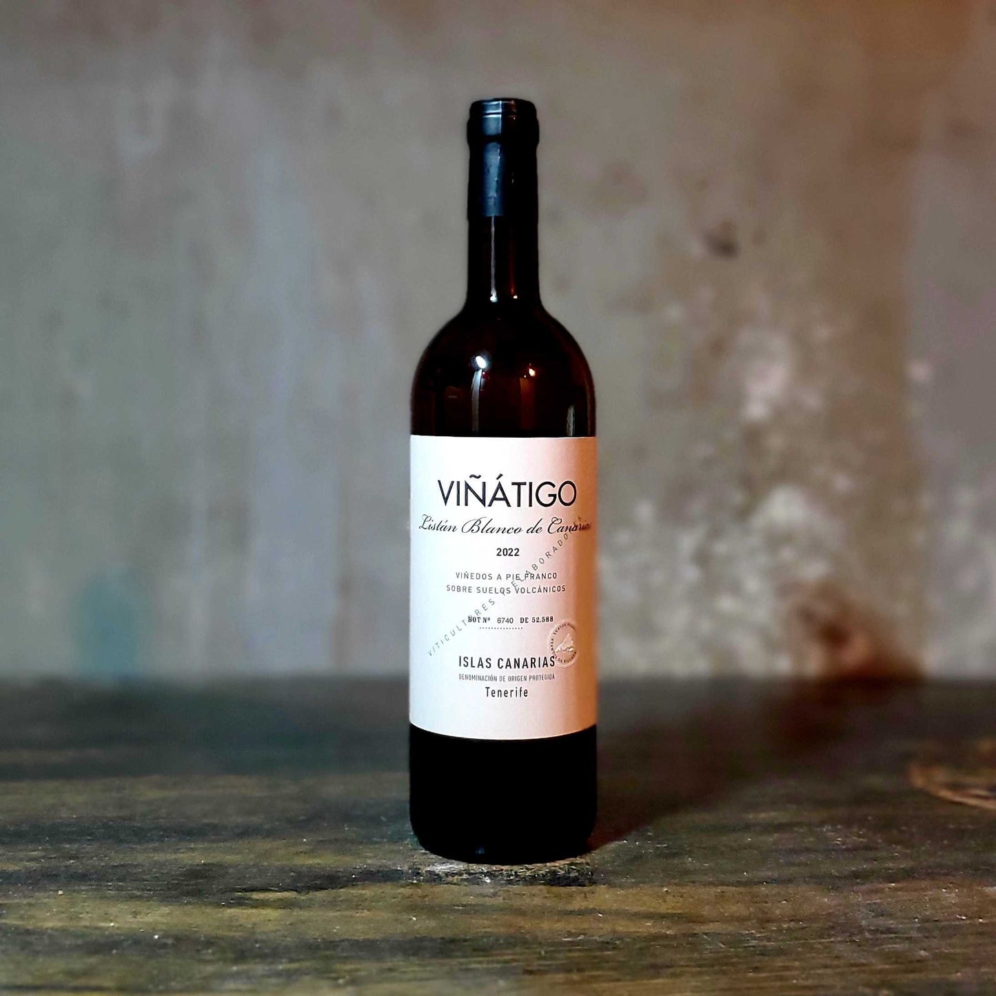 Viñatigo - Listan Blanco, Tenerife, Canary Islands, Spain (2024)