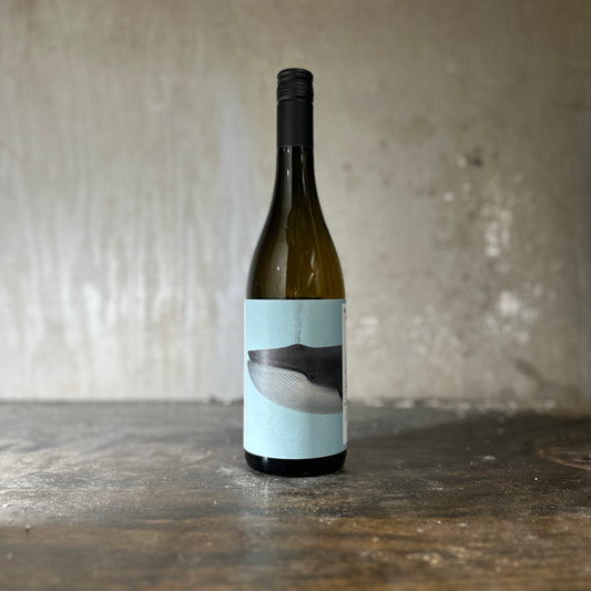 Noelia Ricci -'Bro', Trebbiano, Emilia Romagna, Italy (2024)