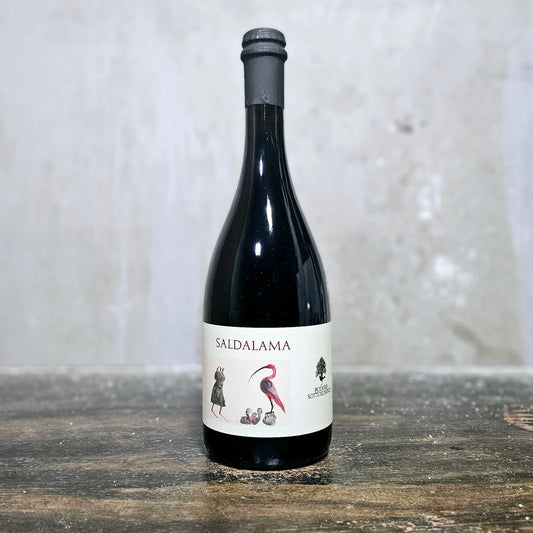 Podere Sottoilnoce - 'Saldalama' Rosso, Lambrusco, Italy (2023)