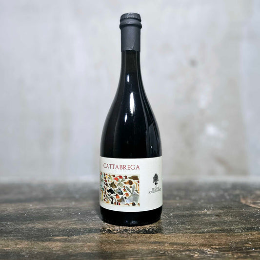 Podere Sottoilnoce - 'Cattabrega' Rosato, Lambrusco, Italy (2023)